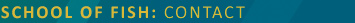Conact Banner