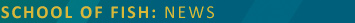 News Banner