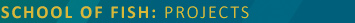 Projects Banner